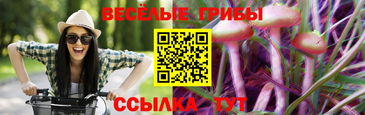 Псилоцибиновые грибы прущие грибы  Вход с VPN  Сызрань 